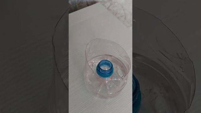 Новые корни для молоденькой Орхидеи смотреть онлайн