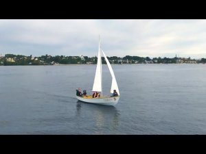 Первый выход Argie-15