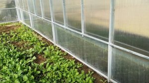 ПОДНИМАЕМ ТЕПЛИЦУ - УВЕЛИЧИВАЕМ УРОЖАЙ.