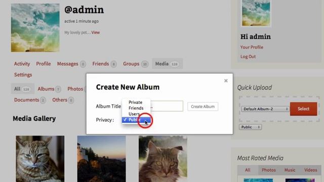 rtMedia for WordPress, BuddyPress and bbPress смотреть онлайн