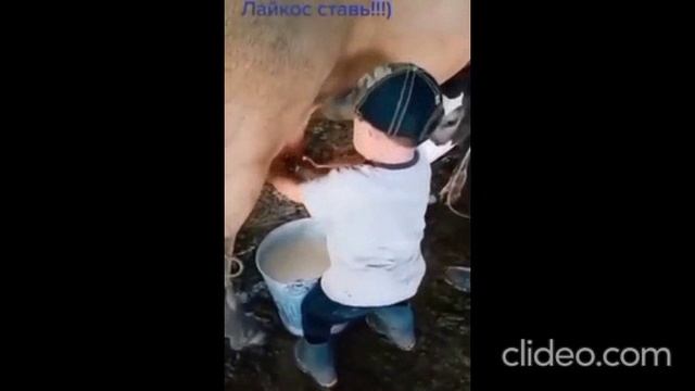 утром в пятницу 21.04.2023 года смотреть онлайн