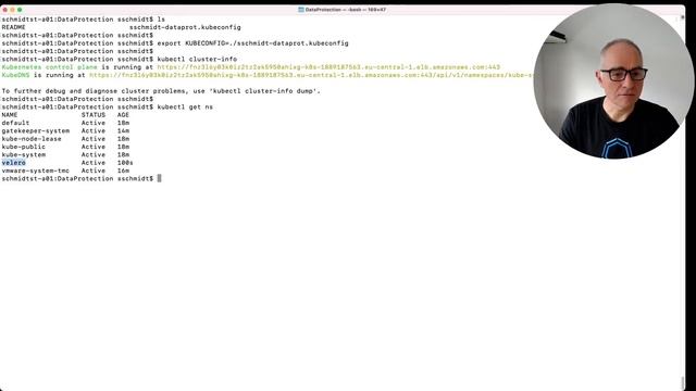 Using Tanzu Mission Control for Data Protection I VMware Tanzu смотреть онлайн