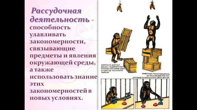 Врожденные и приобретенные программы поведения смотреть онлайн