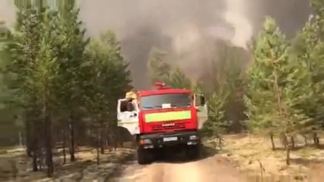 Лесной пожар смотреть онлайн