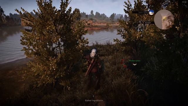 The Witcher 3 Modded Gameplay On GTX 1050 2GB 2020. смотреть онлайн