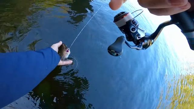 Мормышинг на леща в Курьяново | Metsui Trigger TR602XULS смотреть онлайн