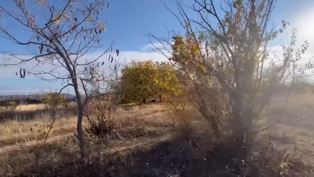 Мы ждали этого 90 ДНЕЙ! Олег Зубков едет к своим львам, а они оказывается ВСЕ В ЗАГУЛЕ! смотреть онлайн