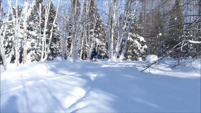 Электробусировщик (электрособака) смотреть онлайн