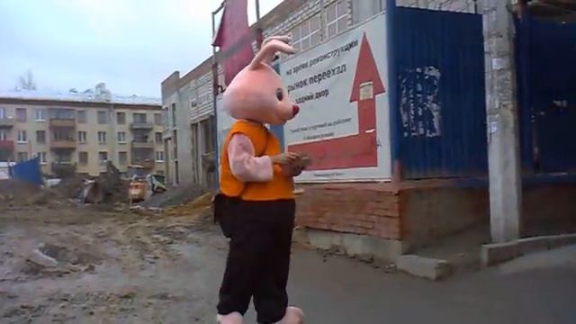 Зайчик танцует!!! смотреть всем) смотреть онлайн