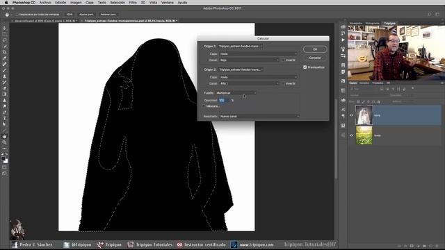 Cómo extraer fondos con transparencias en Photoshop смотреть онлайн