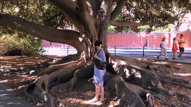 Обзор Sevilla Spain смотреть онлайн