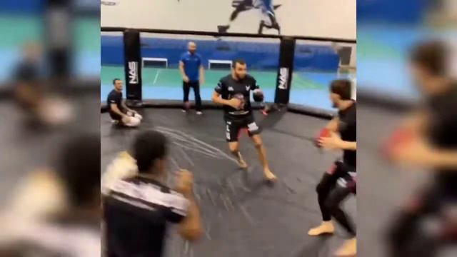 Что за суета? Кто знает как называется эта игра?