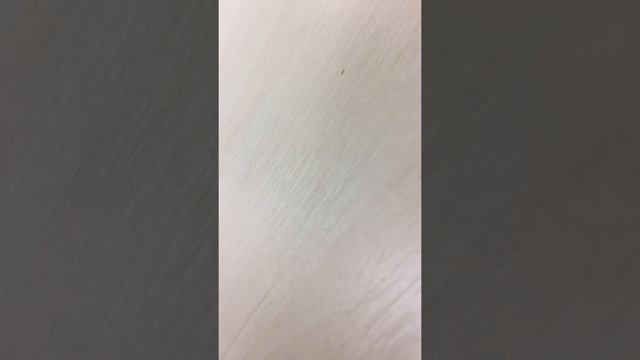 Так в Pony Express увольняют сотрудников