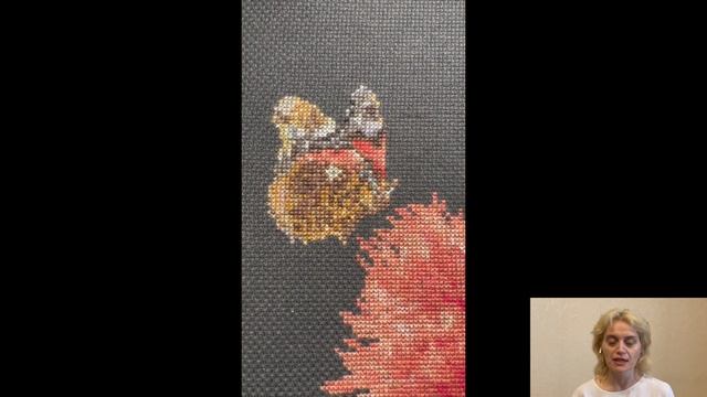 Проект "Цветы в стеклянной вазе". Красный мак с бабочкой смотреть онлайн