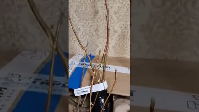 ЧЕСТНЫЕ ОТЗЫВЫ ПОКУПАТЕЛЕЙ! Интернет-магазин Гарденмарт смотреть онлайн