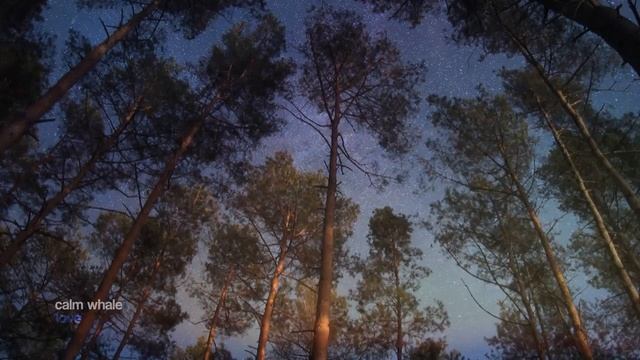 Гармонизация 7 чакры смотреть онлайн