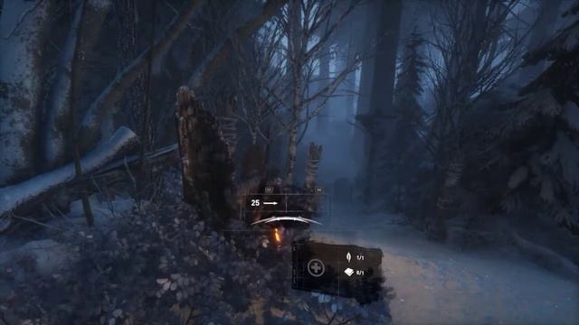 Rise of the Tomb Raider | Pentium G4400 + GTX 1050 2GB смотреть онлайн