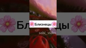 песня 33 знаков зодиака