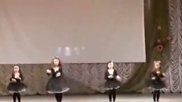 КОШКА БЕСПОРОДНАЯ 2019 смотреть онлайн