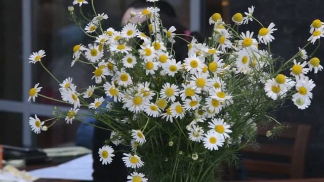 Открытие Летней Террасы ресторана De Kas Нижний Новгород (07.07.16) смотреть онлайн