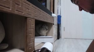 24 ЧАСА ИГРАЕМ В ПРЯТКИ С КОТАМИ В НАШЕМ ДОМЕ