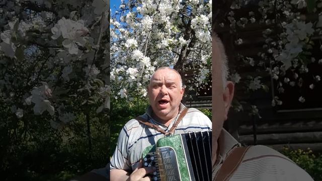 Песня о Пустошке смотреть онлайн