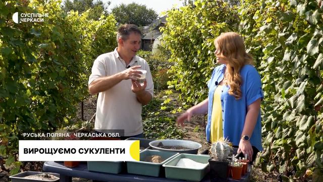 Диво-сукуленти: від насінини – до композиції смотреть онлайн