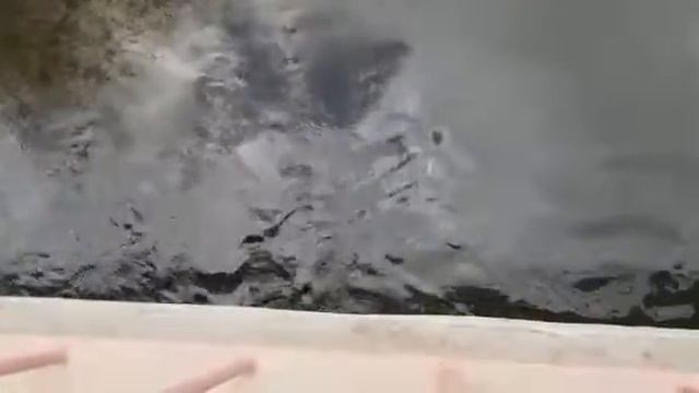 ПОКА МЫ ЖИВЫ МОЖНО ВСЁ ИСПРАВИТЬ смотреть онлайн