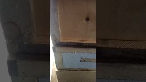 Улья из фанеры