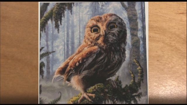 Отчет по вышивке за неделю. Многоцветки и не только. Организация вышивки смотреть онлайн