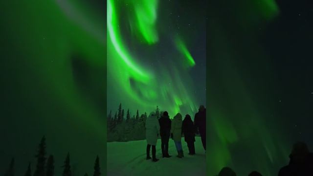 Северное сияние в Мурманске в ночь на 24 декабря 2022 смотреть онлайн
