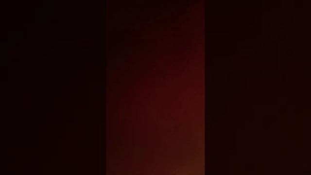 Готовим с умом и вкусом