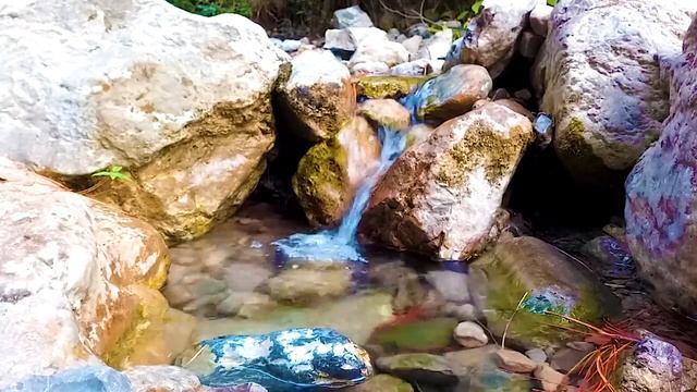 Горный ручей. Соловей,Звук ручья, Шум ручья, Звуки природы. Шум воды. Пение птиц.Лесной ручей 3 час