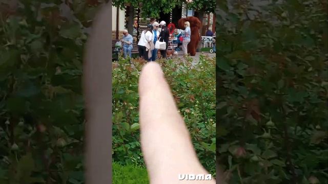 2 часть в Кавказе 🥵чебурашки атакуют 😂😂😂 смотреть онлайн