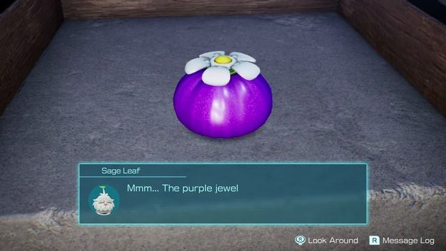 How To Get The Purple & White Onion In Pikmin 4 смотреть онлайн