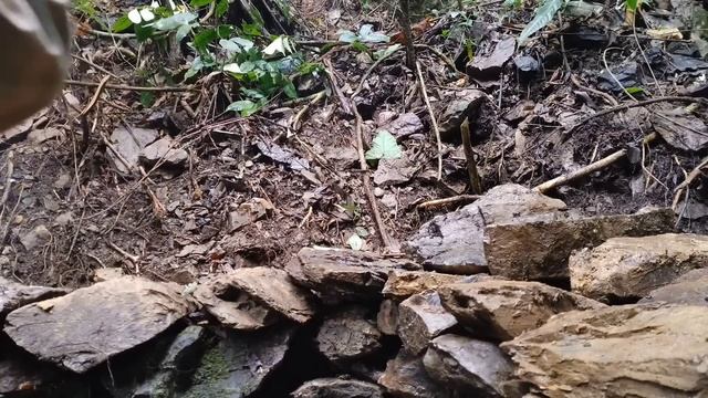 3 Years Building A House In The Woods Alone / Núi Rừng Vùng Cao