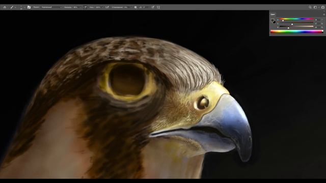 Digital Painting Process - Peregrine смотреть онлайн