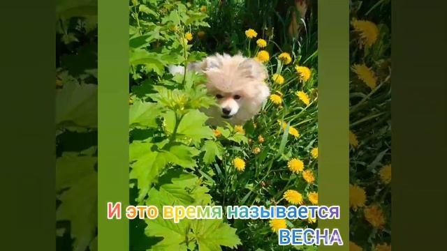 И это время называется ВЕСНА mp4 смотреть онлайн