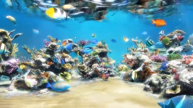 Sim Aquarium 3 Screensaver - www.SimAquarium.com смотреть онлайн