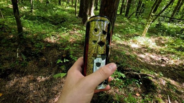 ПНЕВМАТИЧЕСКАЯ ВИНТОВКА ЗА 35 ТЫСЯЧ РУБЛЕЙ | Crosman DPMS SBR (М16) или просто "ЭМОЧКА"