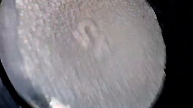 хода одиссея эндоскопия двигателя погнуло клапана течь маслаков жор масла смотреть онлайн
