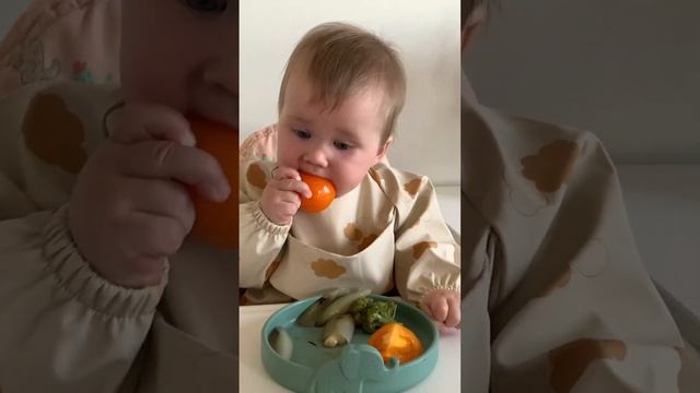 Наш опыт самоприкорма в 6 месяцев #6месяцев #буднимамы #прикормкусочками
