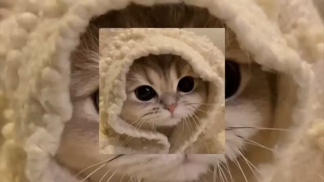 песня[ Черные глаза] смотреть онлайн