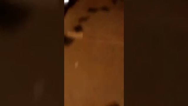 Compare Tes Tplink Wr840n V5 Vs Tplink Wr740n V4 22