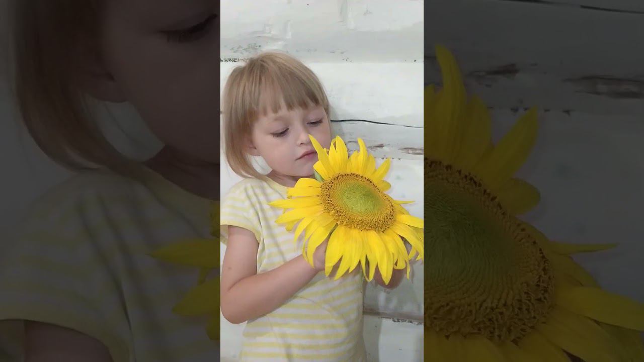  смотреть онлайн