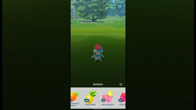 😲 In last moment I got this rare shiny pokemon | ✨ wow new shiny pokemon | shiny pokemon go. смотреть онлайн