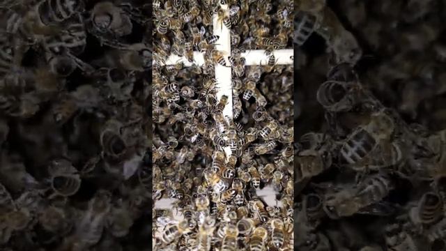 Exciting Travel Adventures