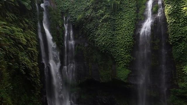 Радость, Добро, Дети, Счастье, Семья, Любовь, Благодарность. смотреть онлайн