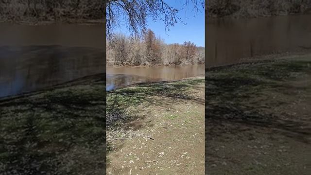 Рыбалка в Оренбурге и области смотреть онлайн