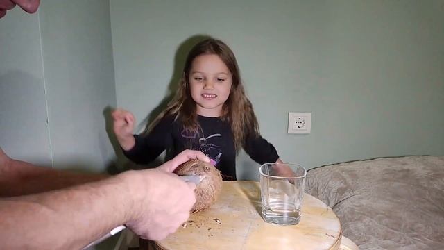 Что такое кокос? Рассказываем, открываем, пробуем! смотреть онлайн